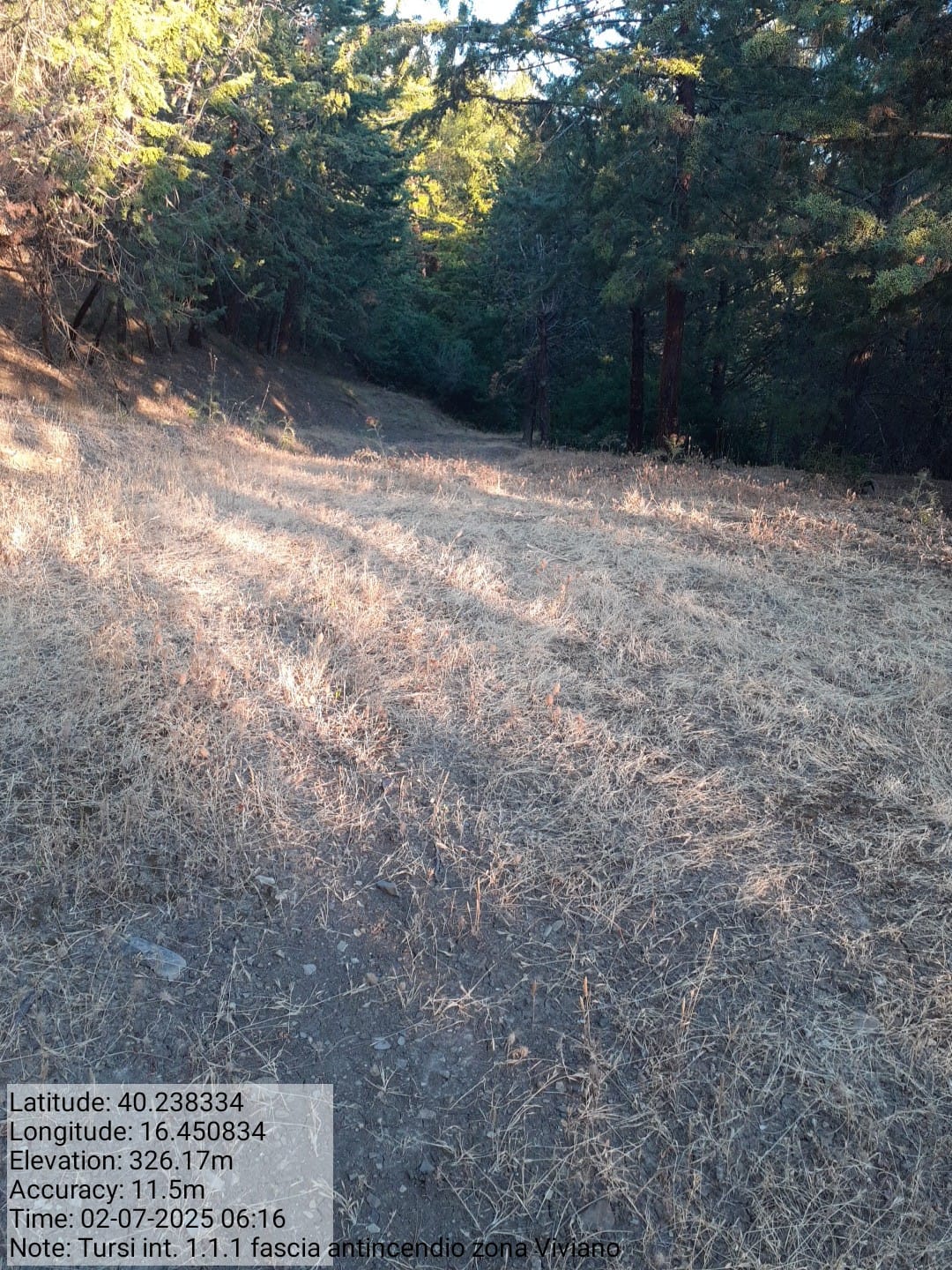 Galleria Fotografica Immagine