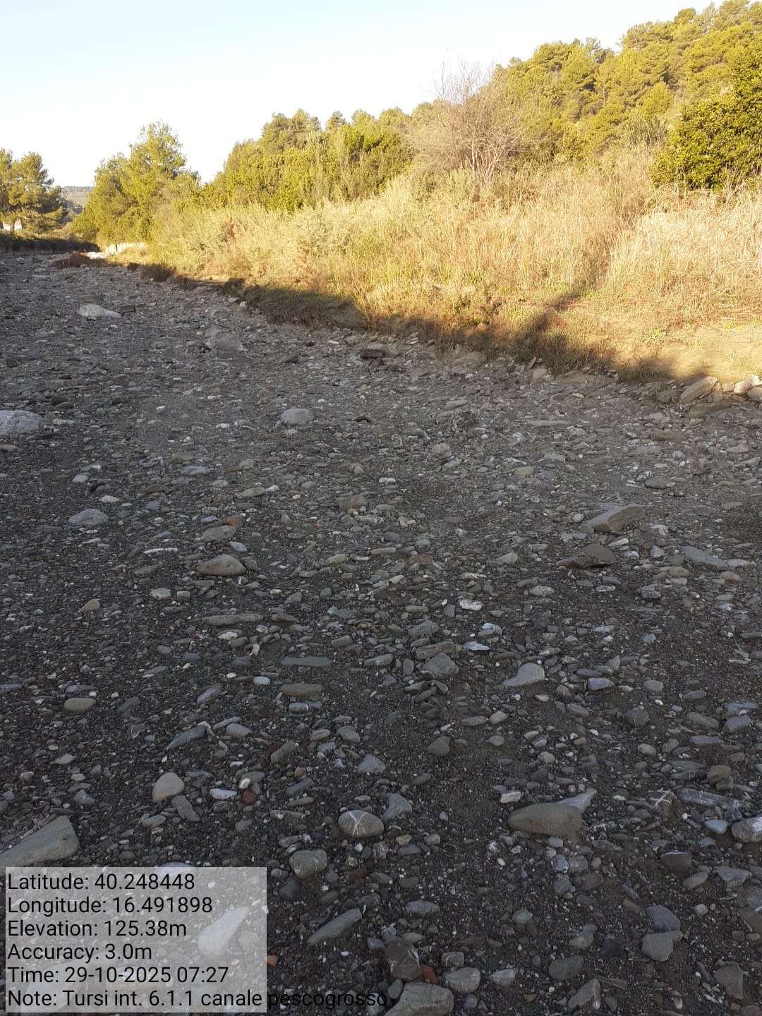 Galleria Fotografica Immagine