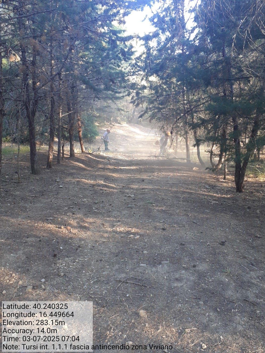 Galleria Fotografica Immagine