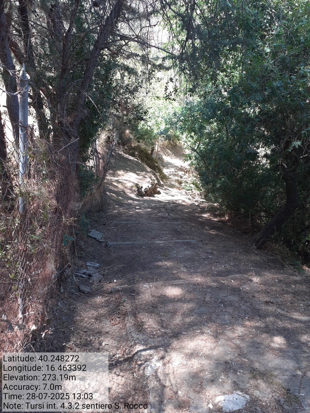 Galleria Fotografica Immagine