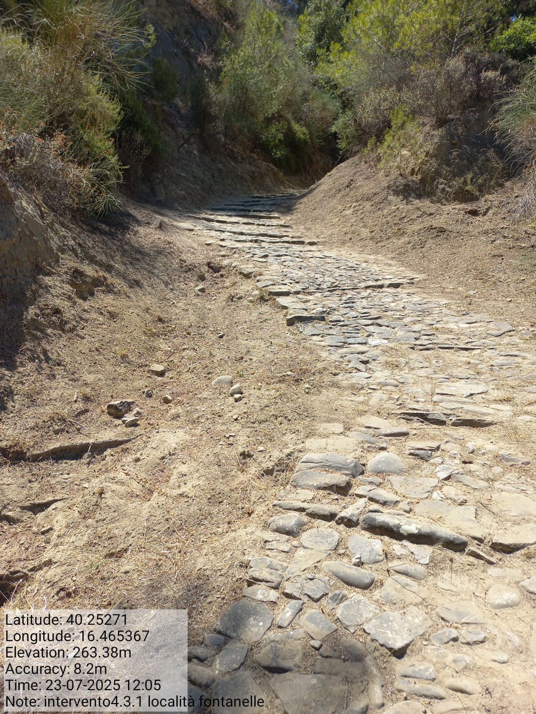 Galleria Fotografica Immagine