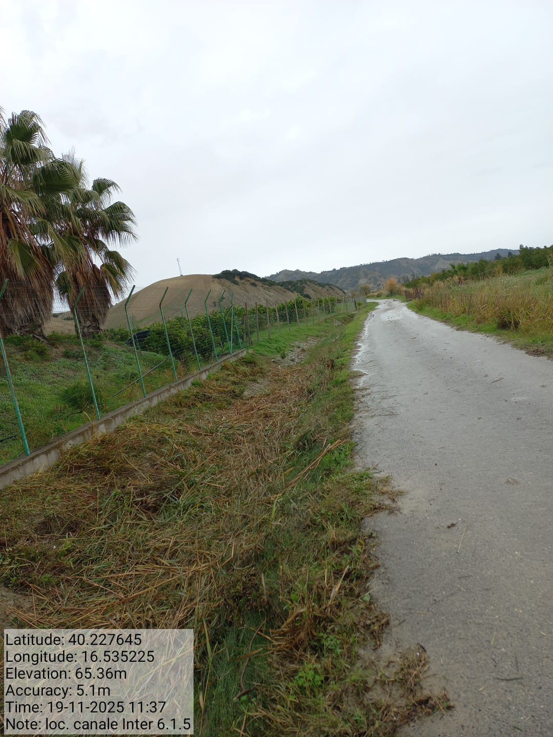 Galleria Fotografica Immagine