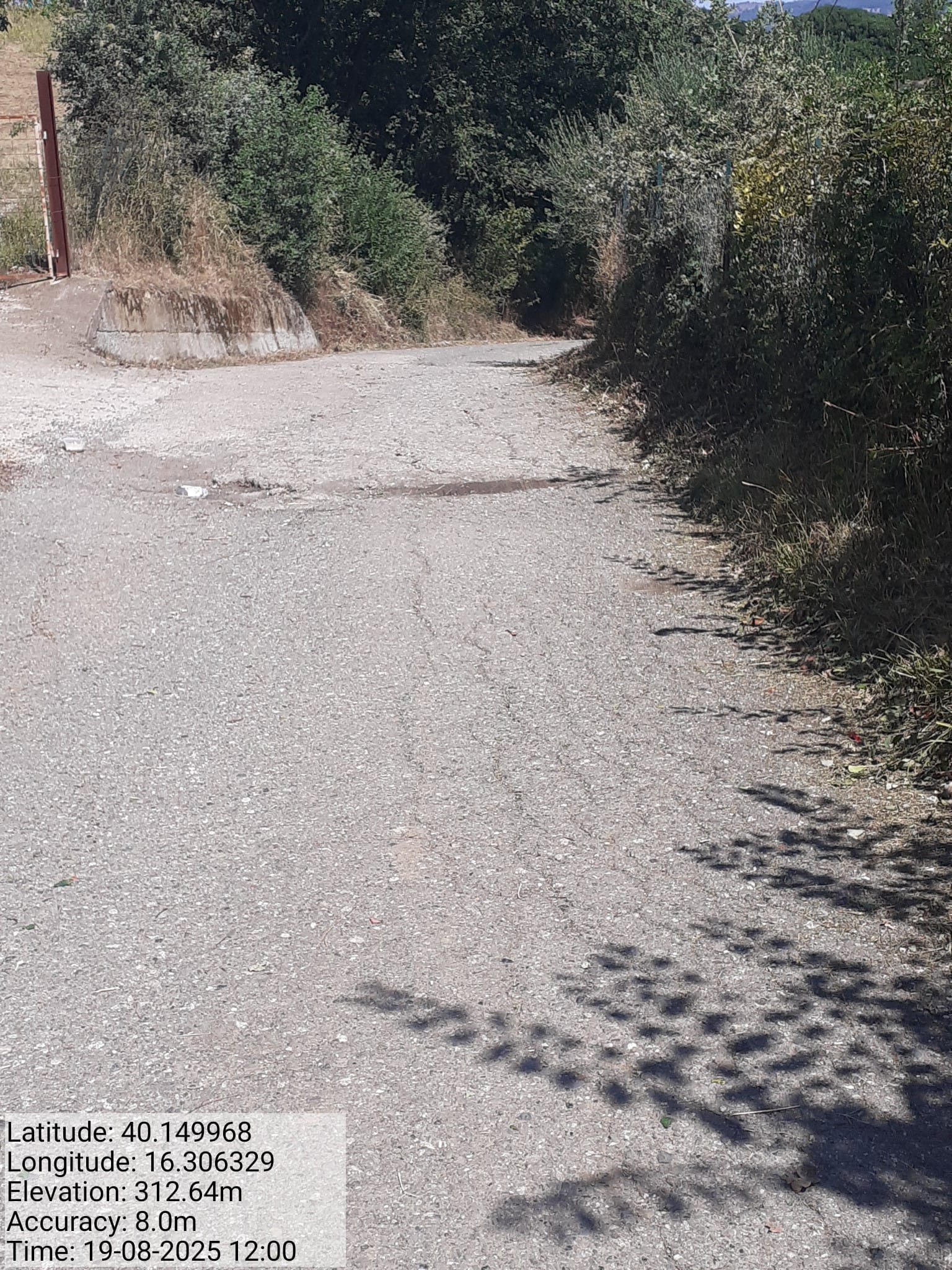 Galleria Fotografica Immagine