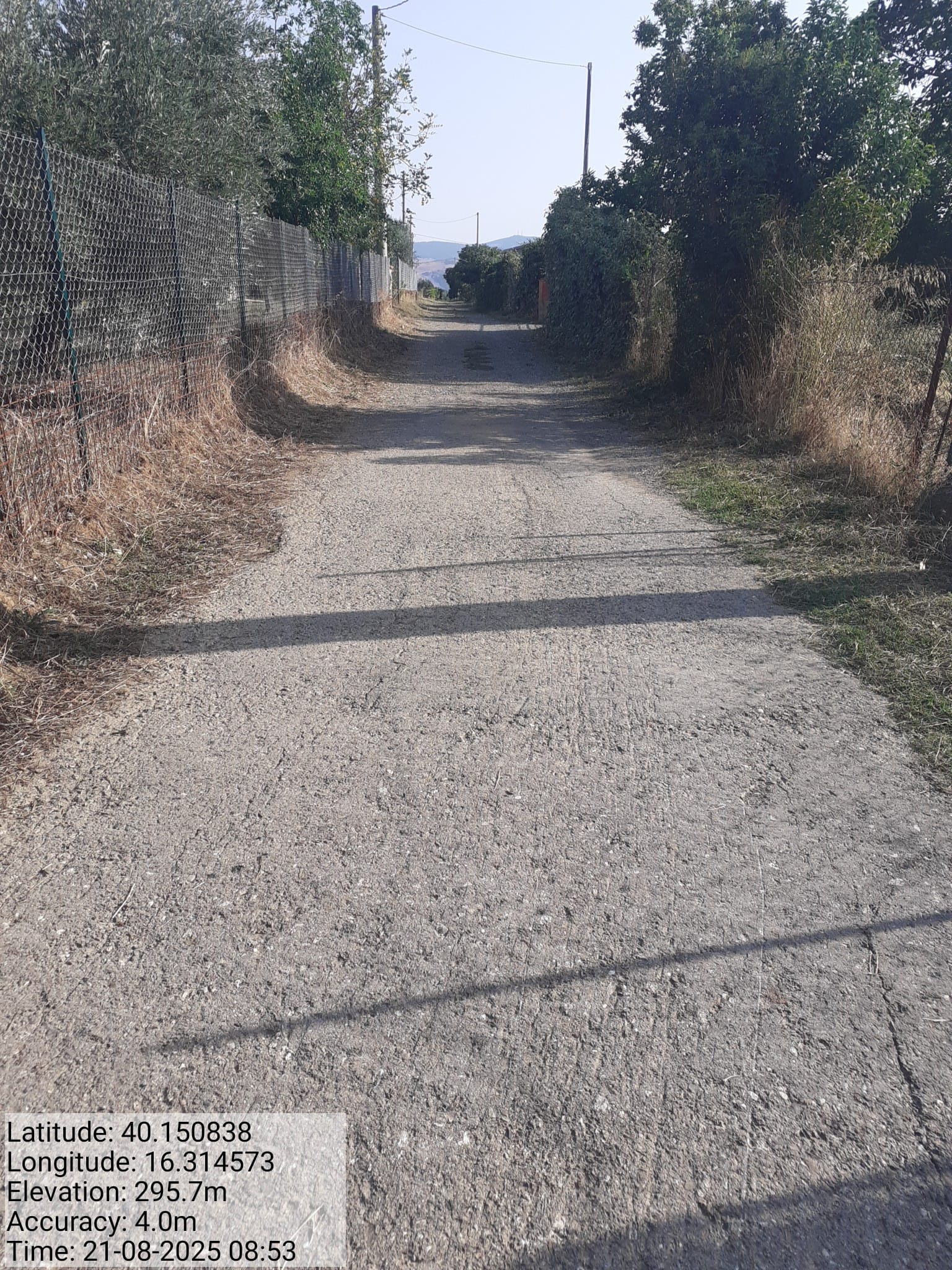 Galleria Fotografica Immagine