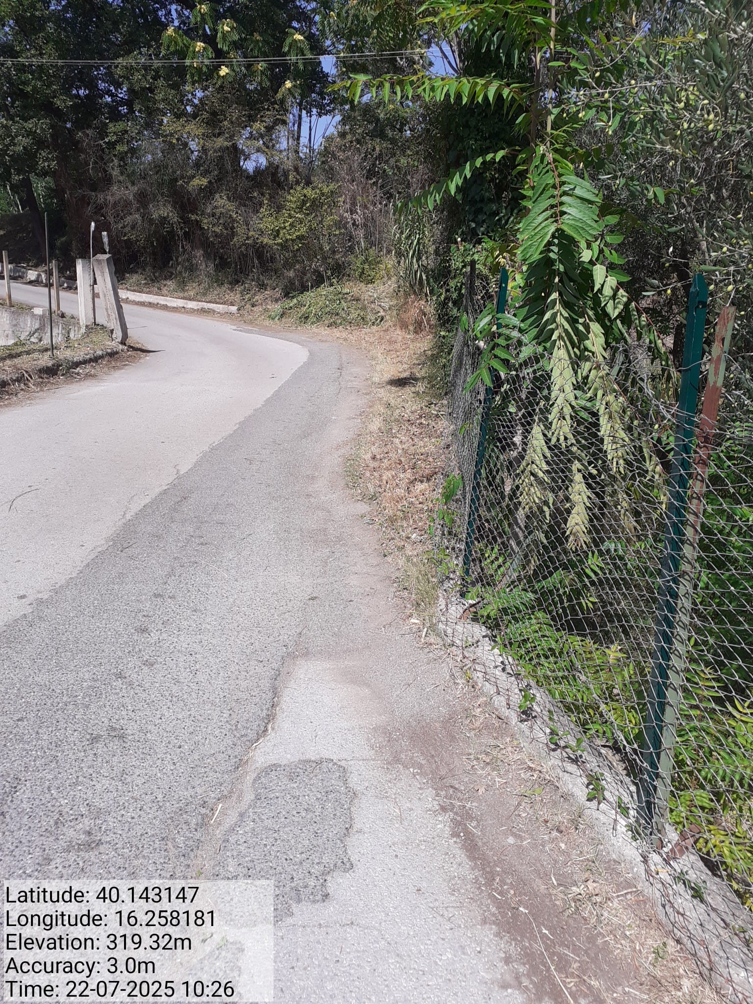 Galleria Fotografica Immagine