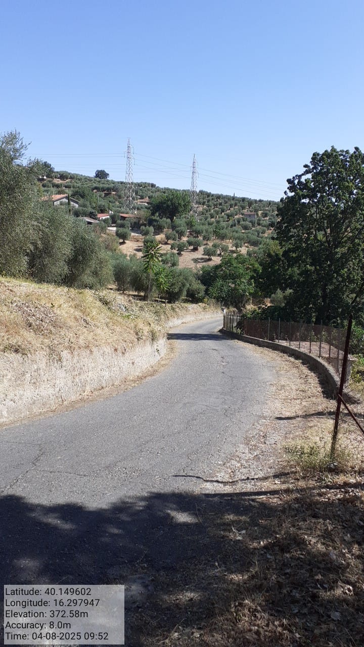 Galleria Fotografica Immagine