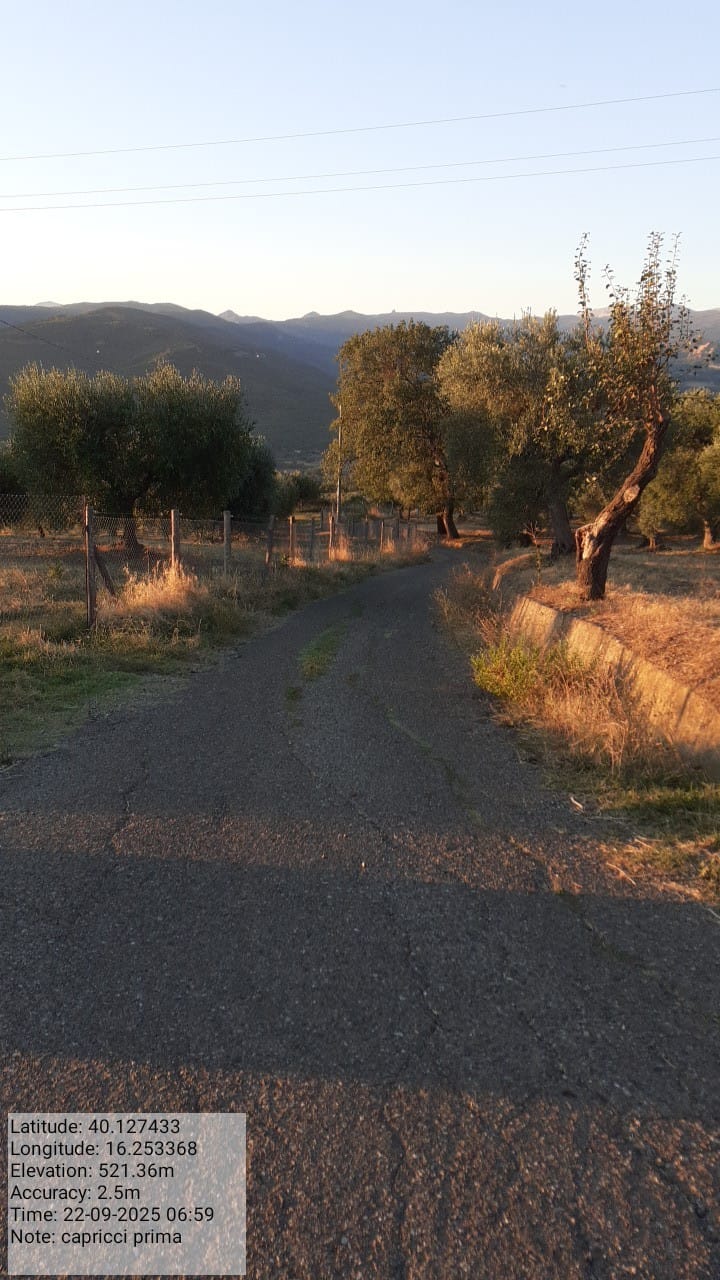 Galleria Fotografica Immagine