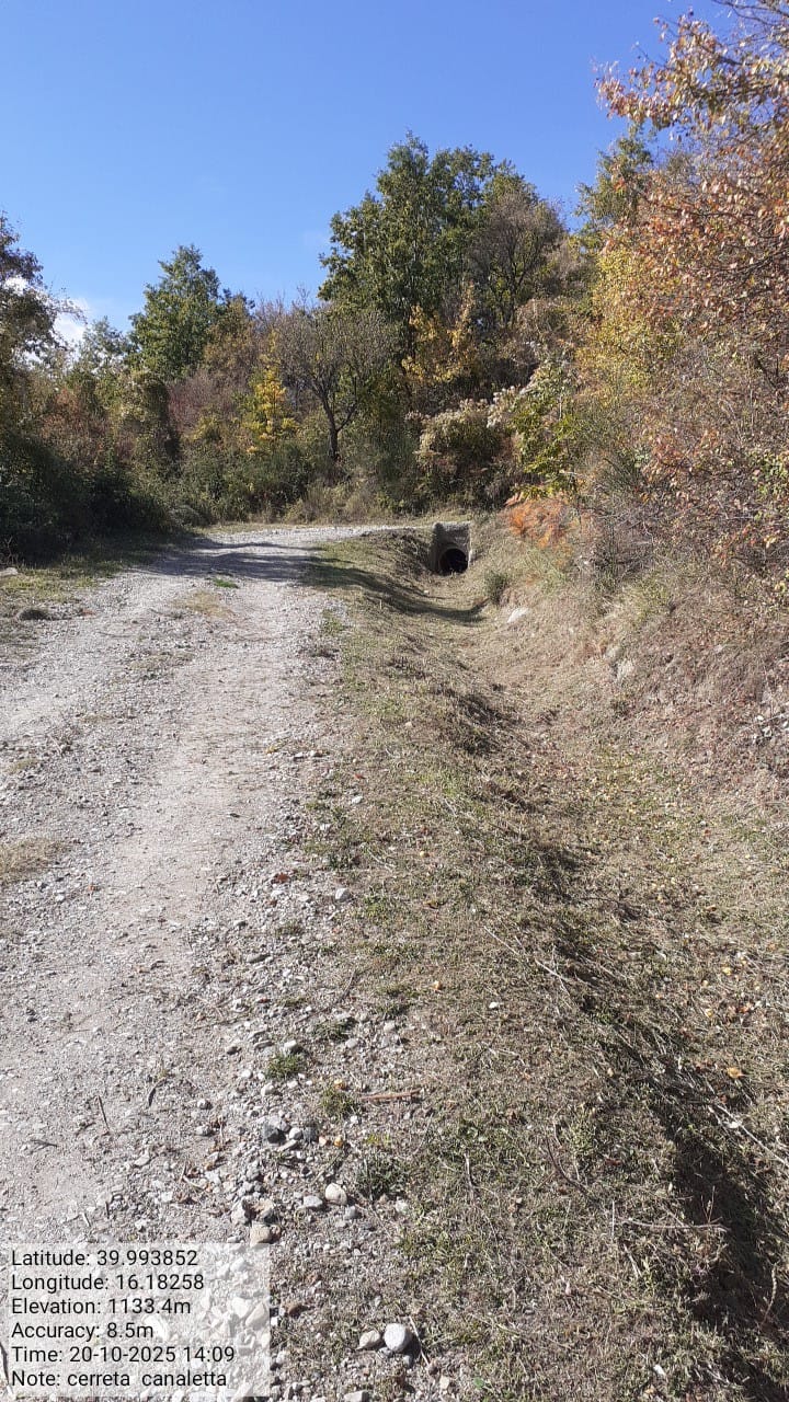 Galleria Fotografica Immagine