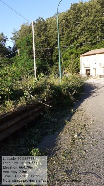 Galleria Fotografica Immagine