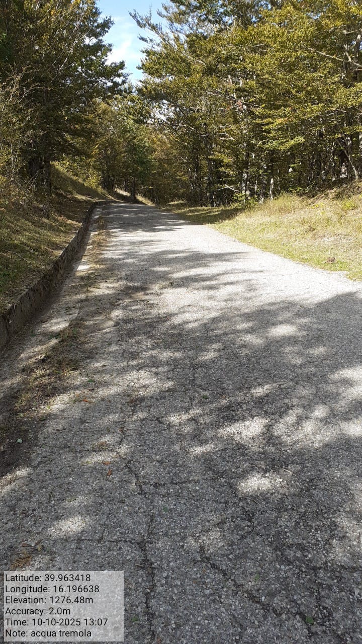 Galleria Fotografica Immagine