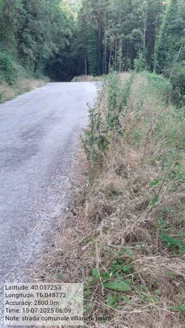 Galleria Fotografica Immagine