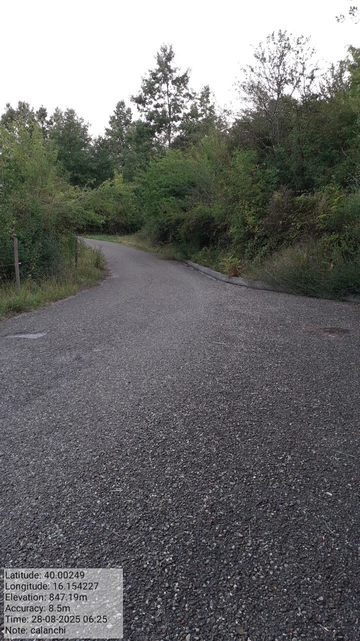 Galleria Fotografica Immagine