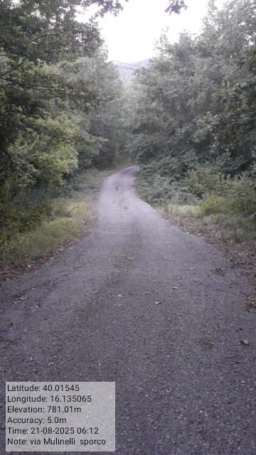 Galleria Fotografica Immagine