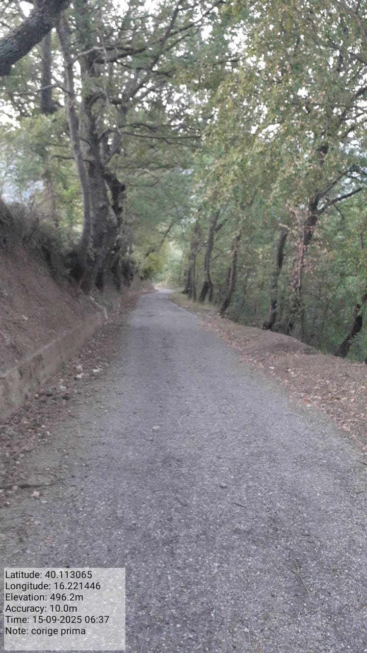 Galleria Fotografica Immagine