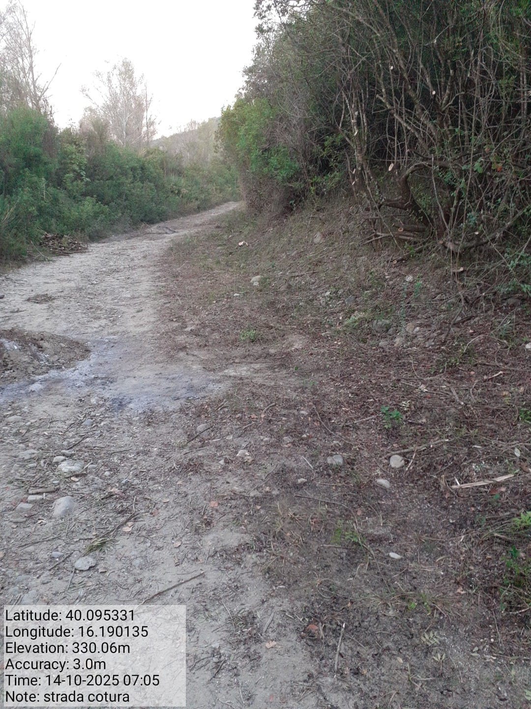 Galleria Fotografica Immagine