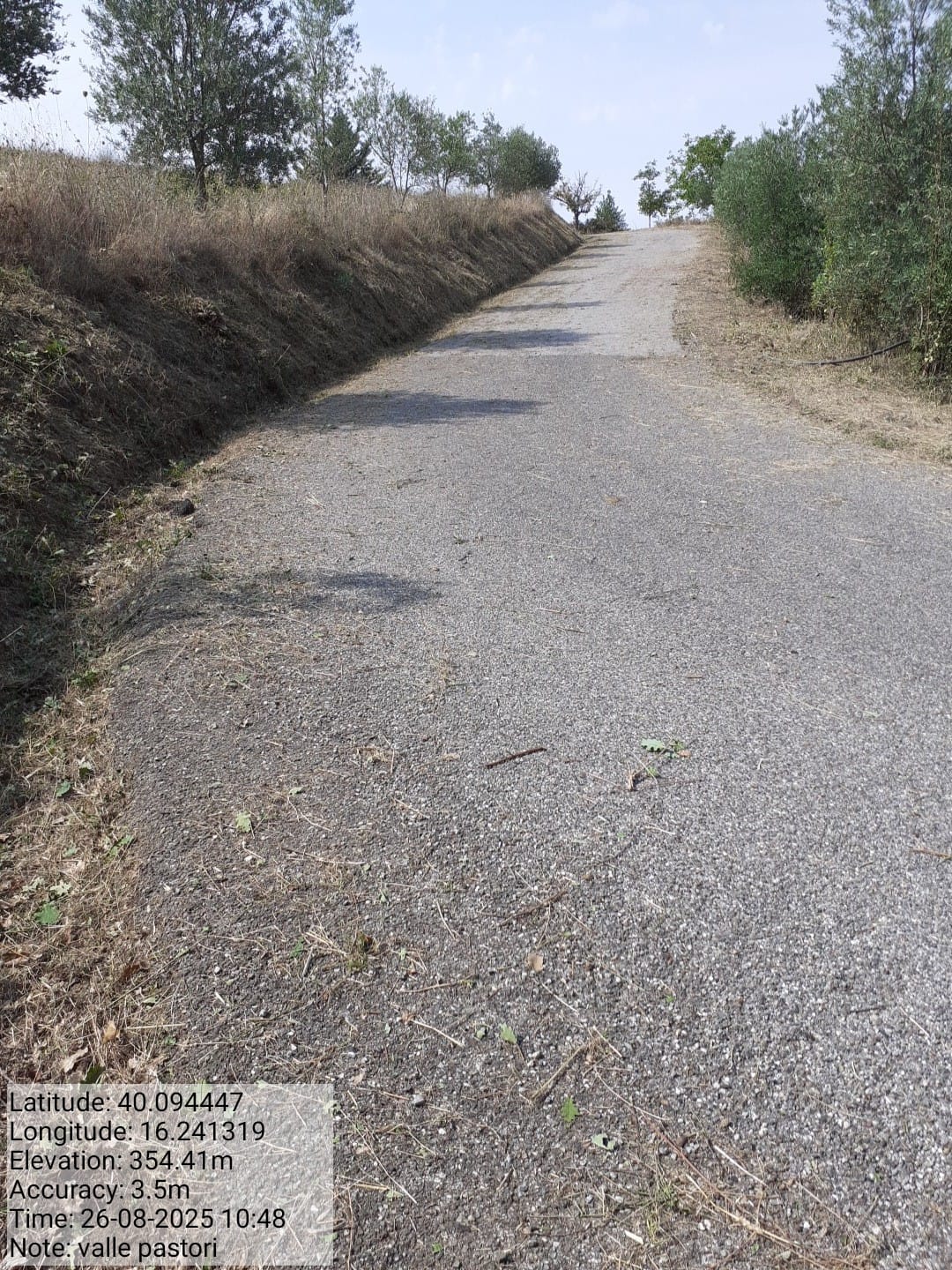 Galleria Fotografica Immagine