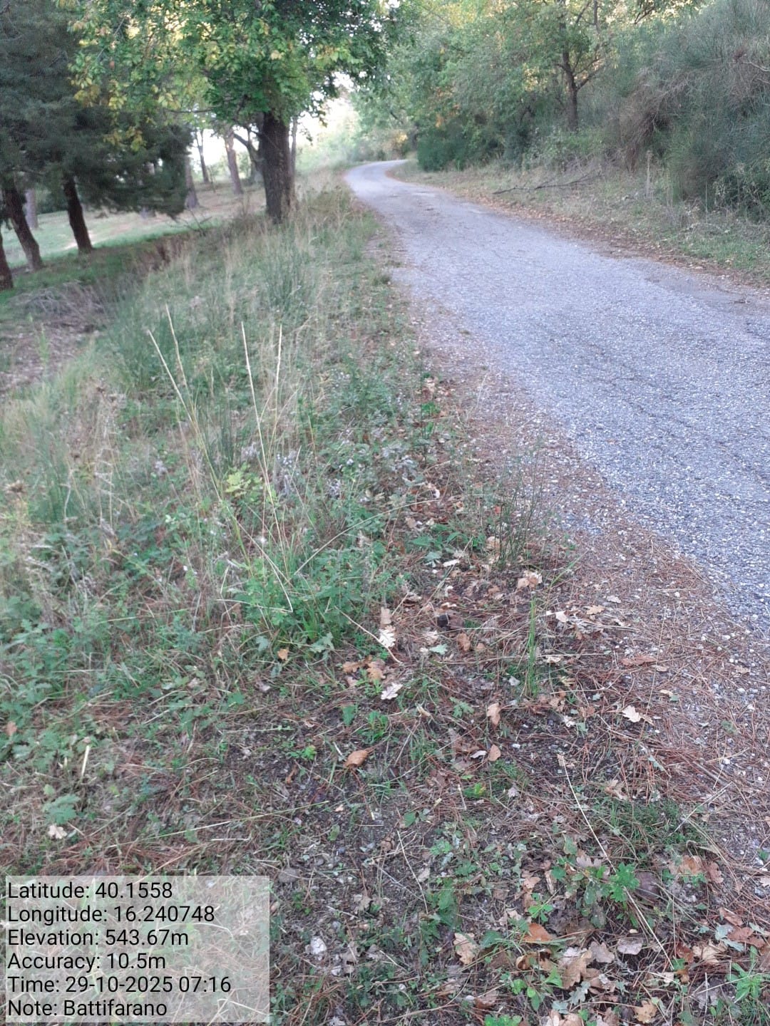 Galleria Fotografica Immagine