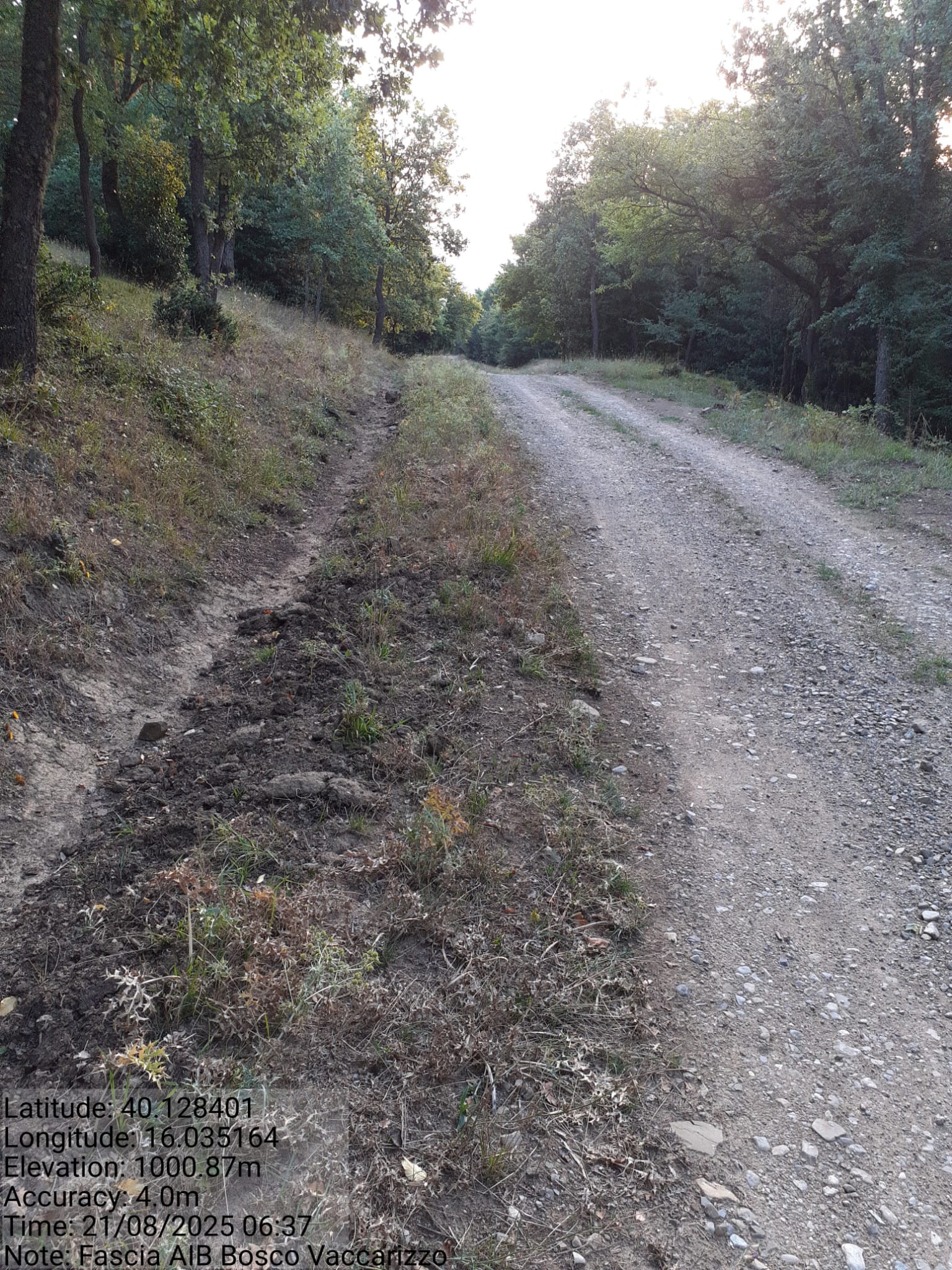 Galleria Fotografica Immagine