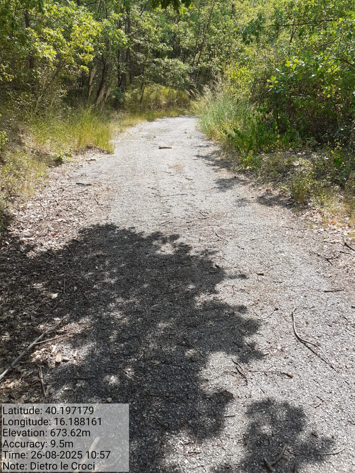 Galleria Fotografica Immagine