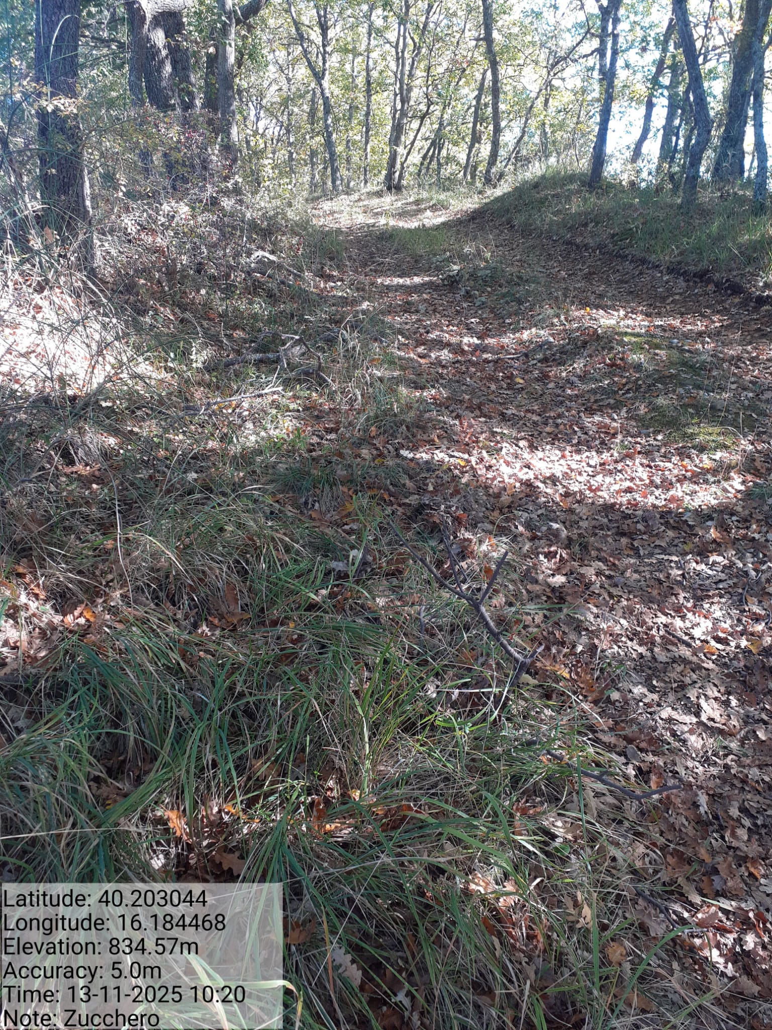 Galleria Fotografica Immagine