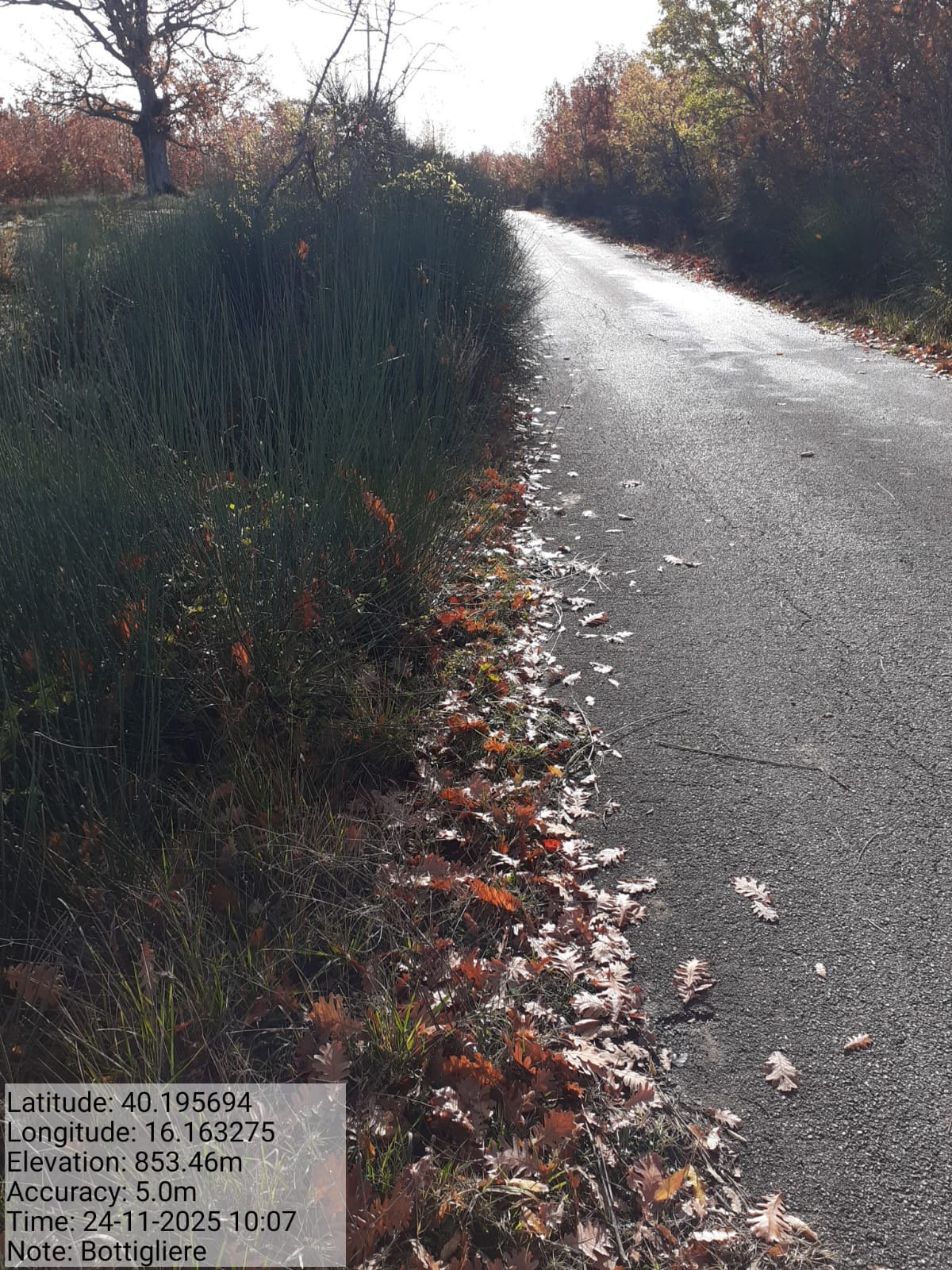 Galleria Fotografica Immagine