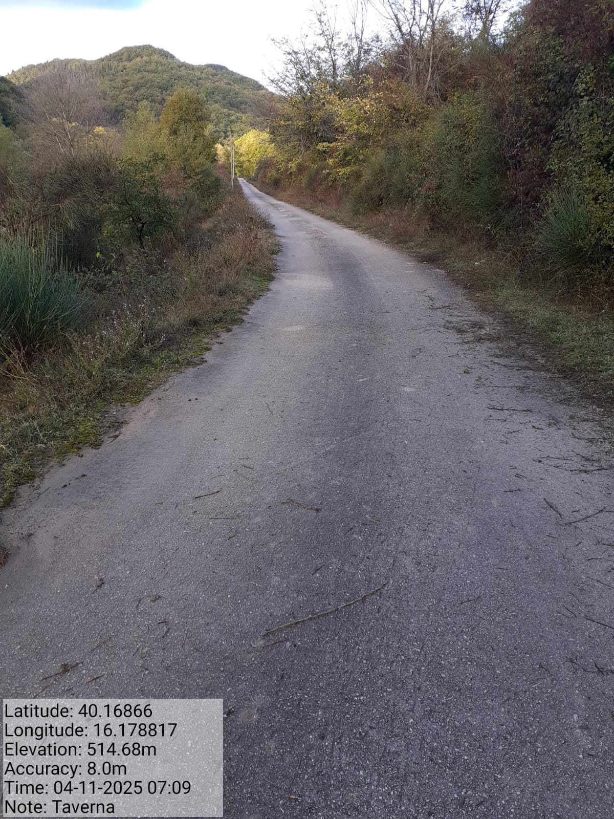 Galleria Fotografica Immagine