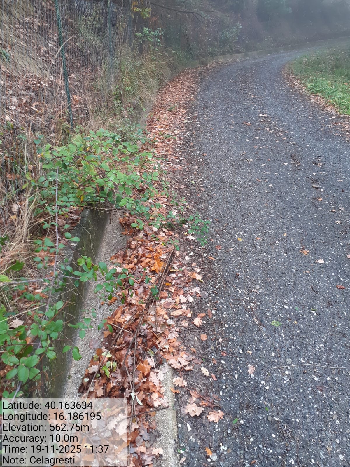 Galleria Fotografica Immagine