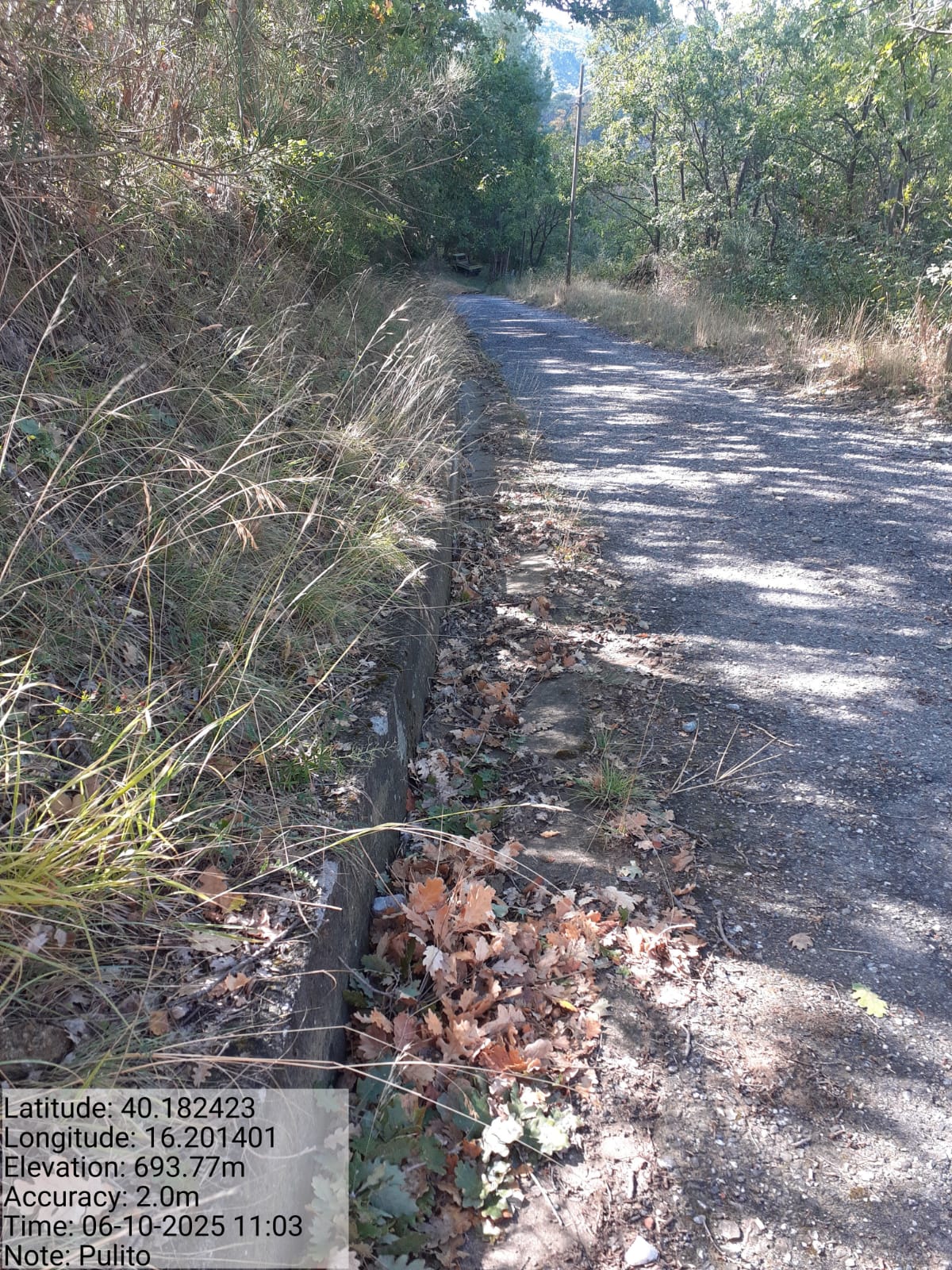 Galleria Fotografica Immagine