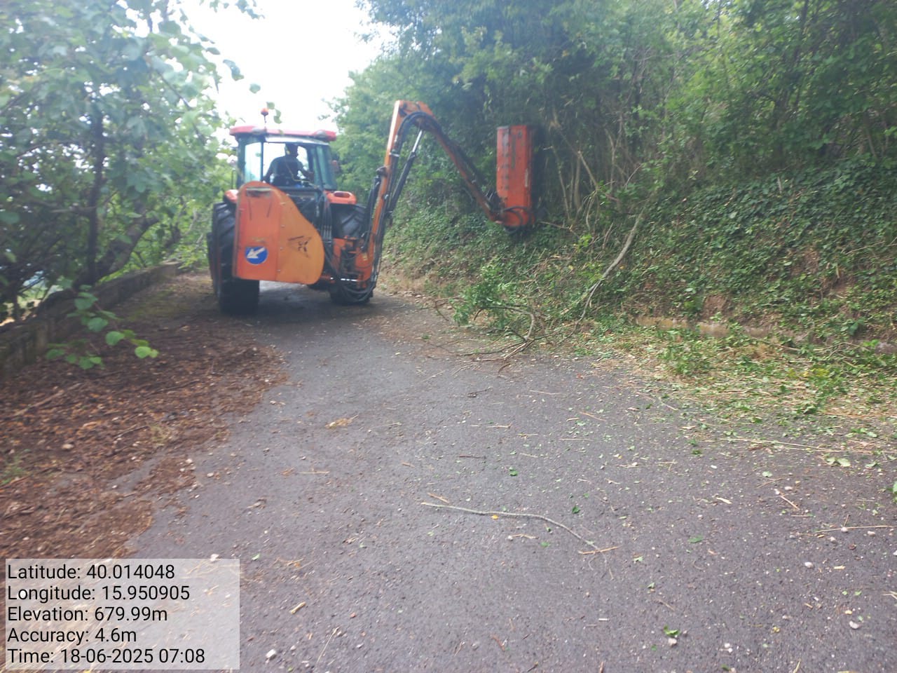 Galleria Fotografica Immagine