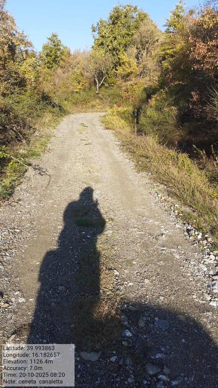 Galleria Fotografica Immagine