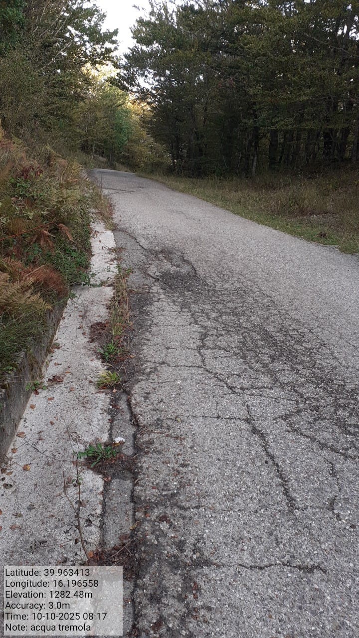 Galleria Fotografica Immagine