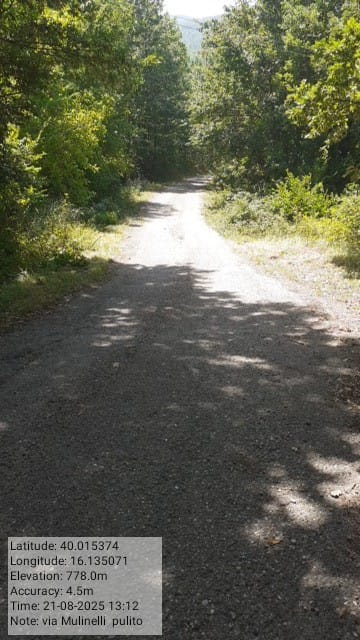 Galleria Fotografica Immagine