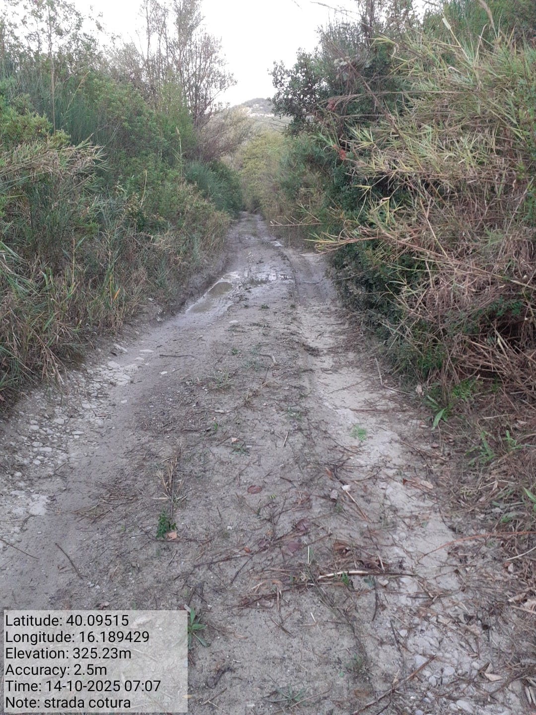 Galleria Fotografica Immagine