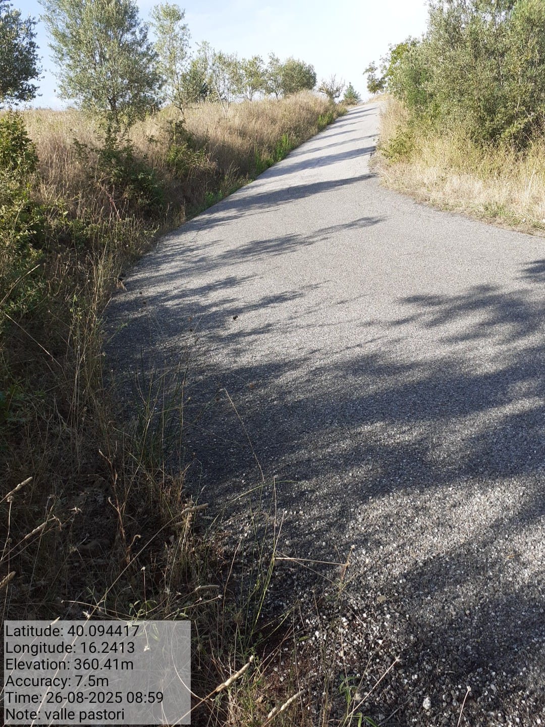 Galleria Fotografica Immagine