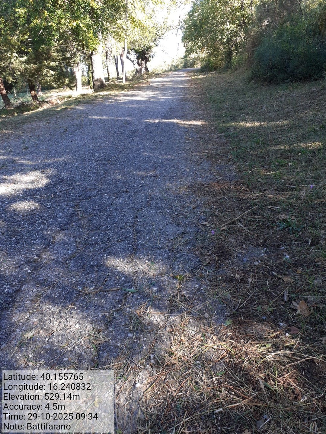 Galleria Fotografica Immagine