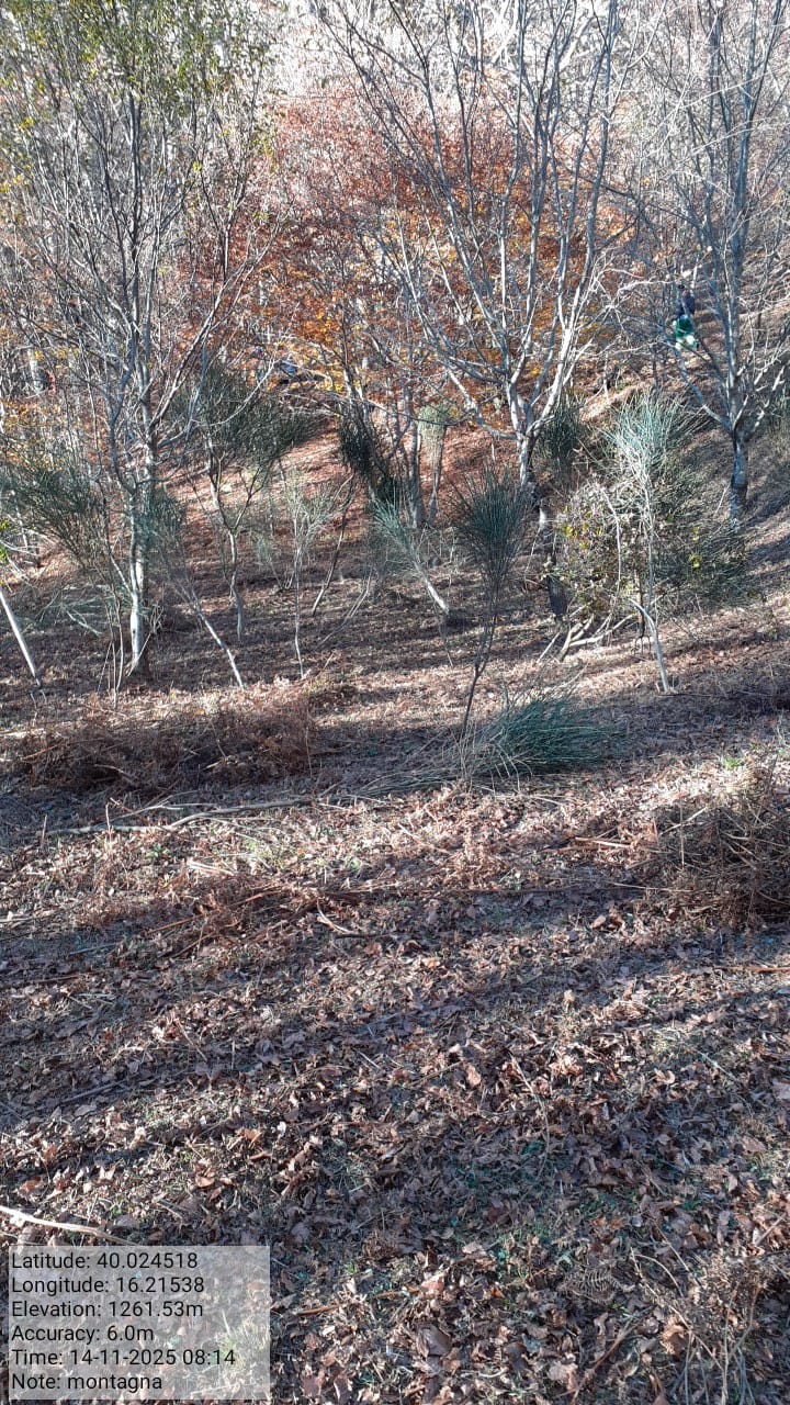 Galleria Fotografica Immagine