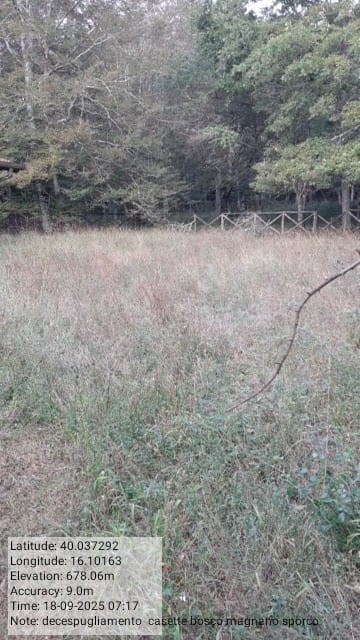 Galleria Fotografica Immagine