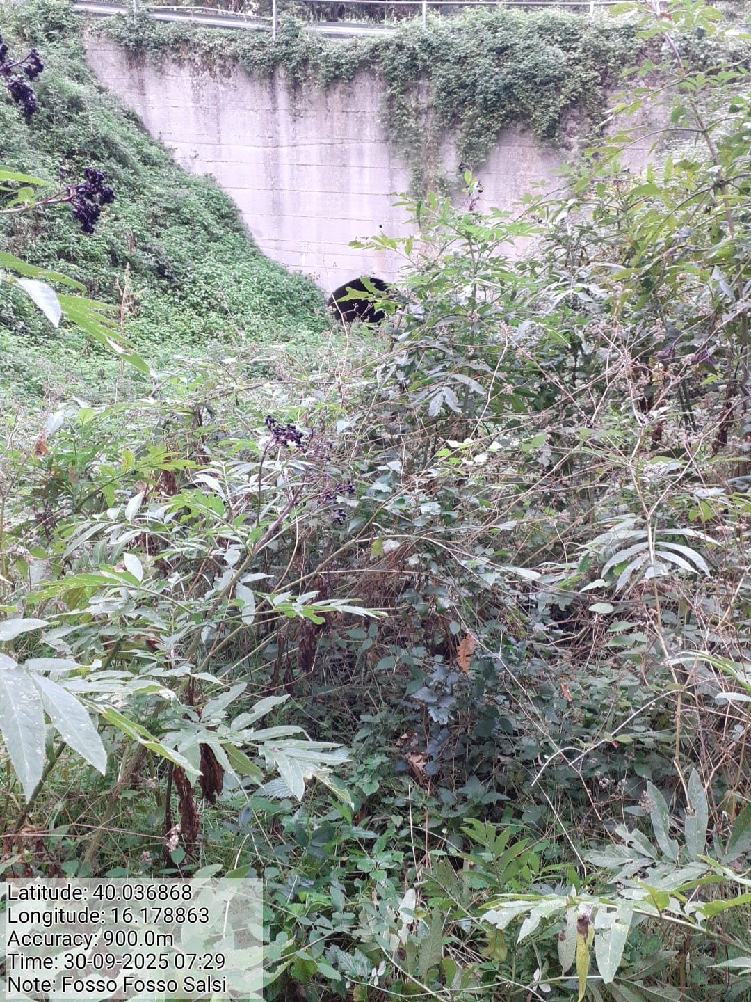 Galleria Fotografica Immagine