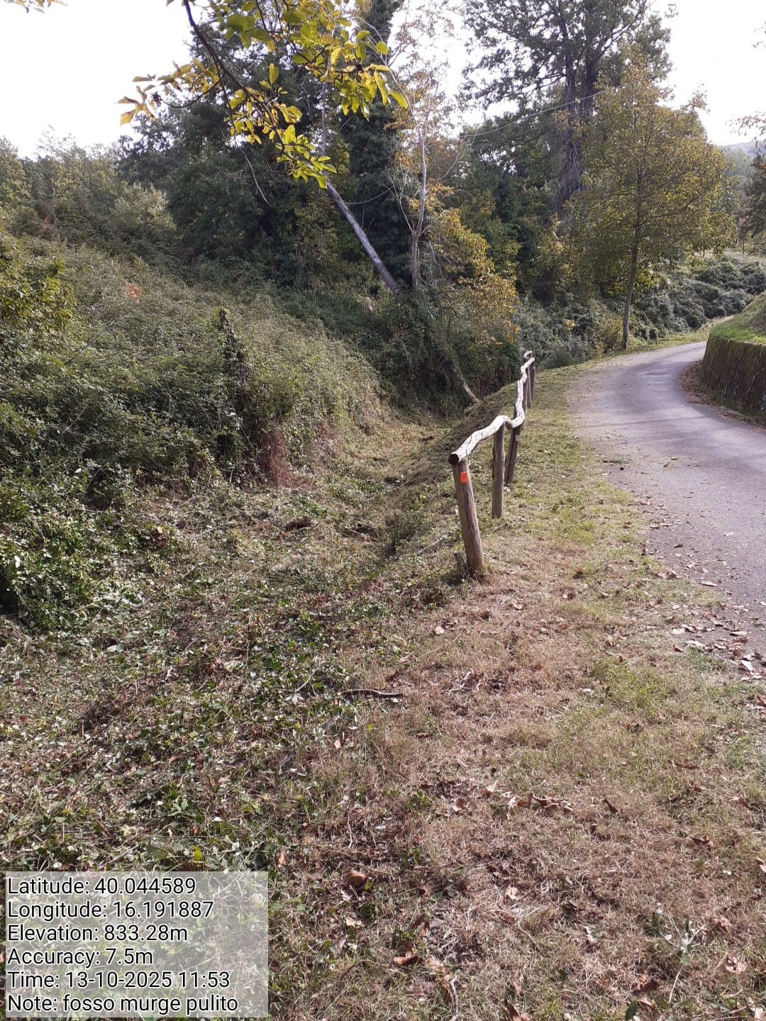 Galleria Fotografica Immagine