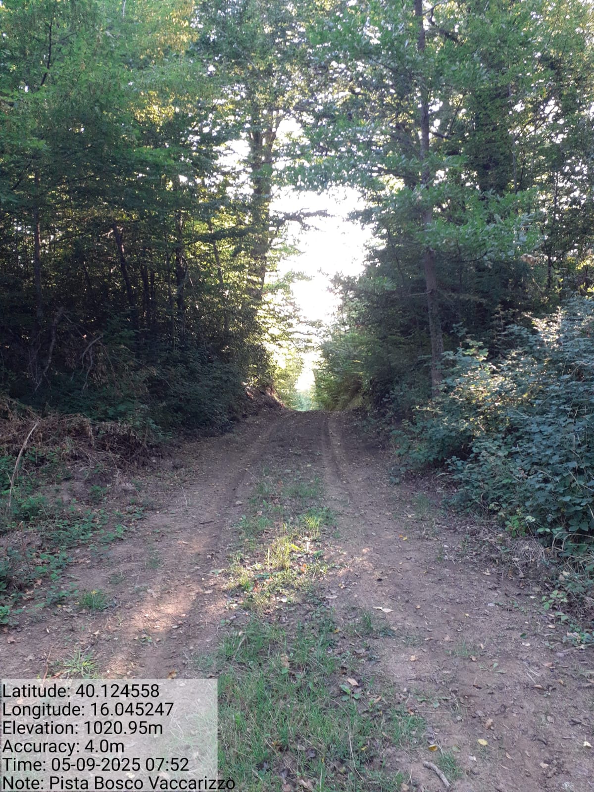 Galleria Fotografica Immagine