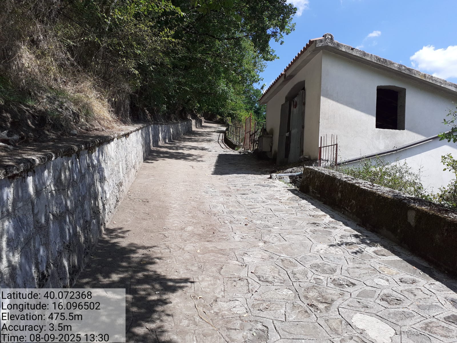 Galleria Fotografica Immagine