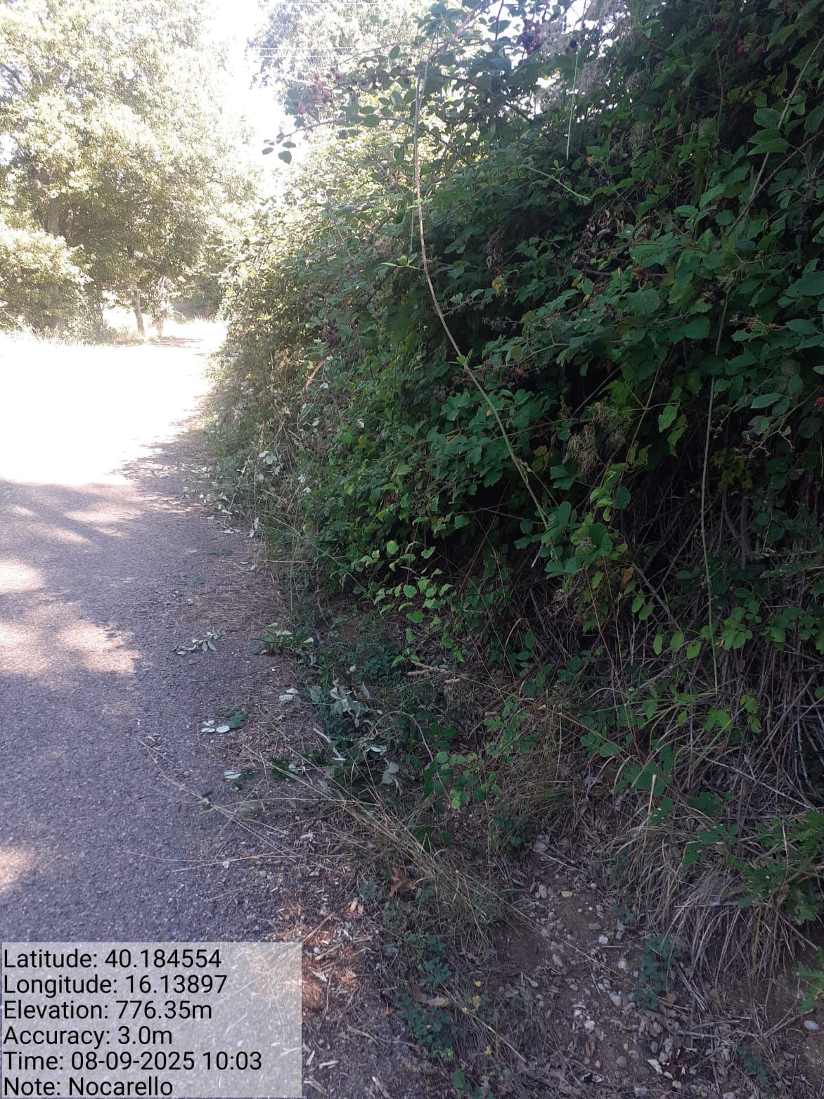 Galleria Fotografica Immagine