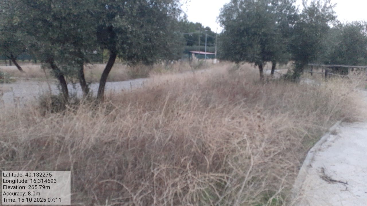 Galleria Fotografica Immagine