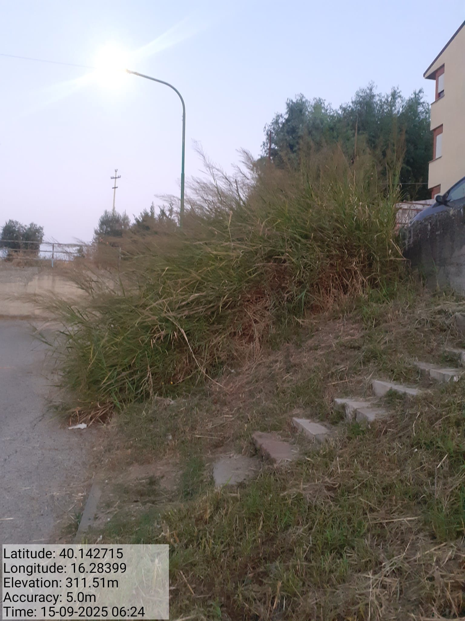 Galleria Fotografica Immagine