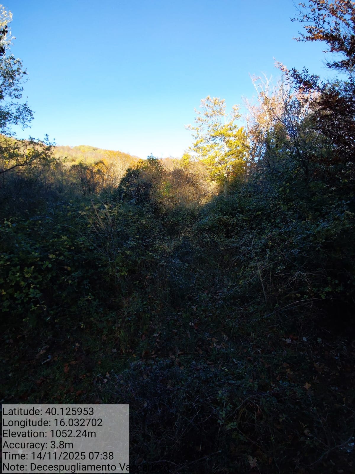 Galleria Fotografica Immagine