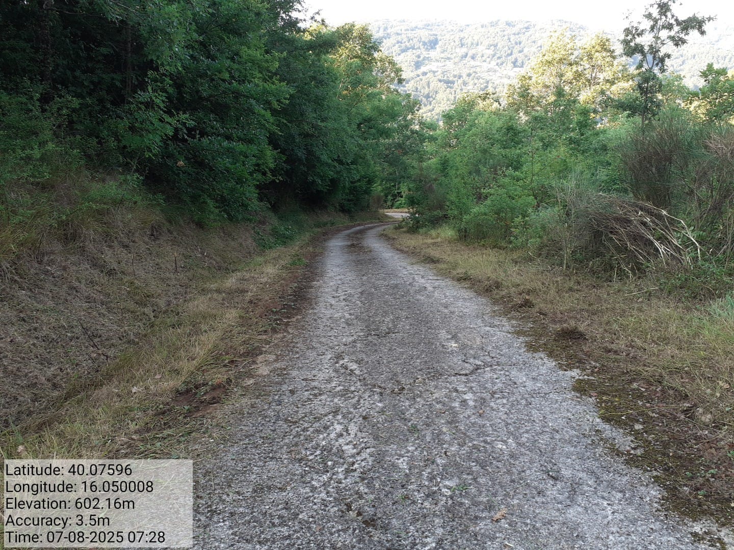 Galleria Fotografica Immagine