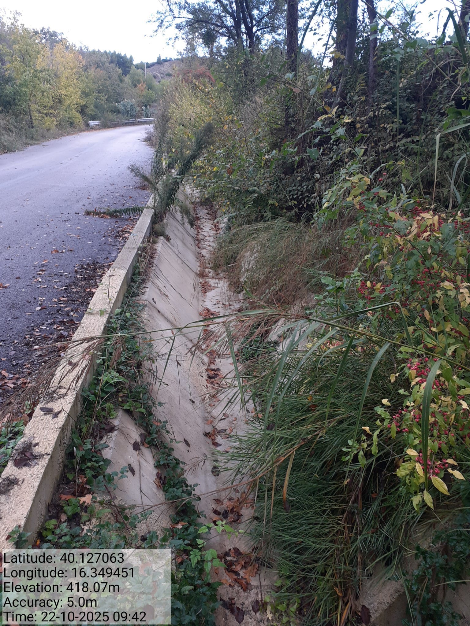 Galleria Fotografica Immagine