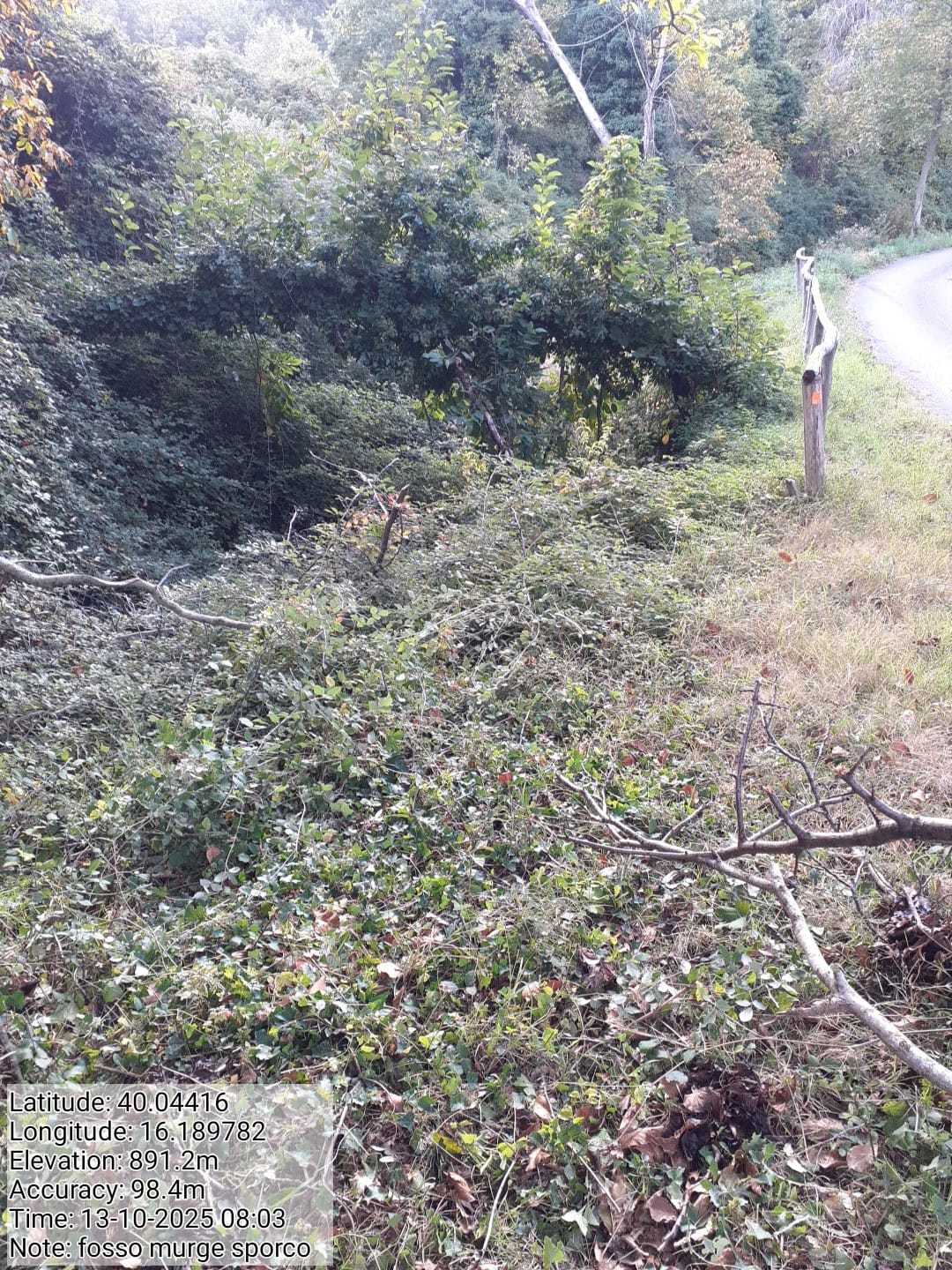 Galleria Fotografica Immagine