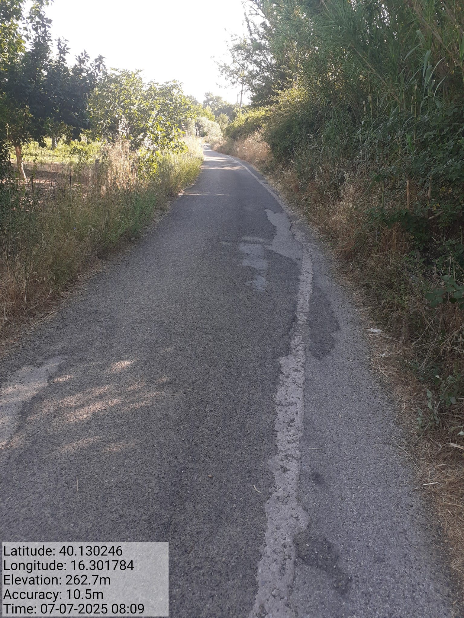 Galleria Fotografica Immagine