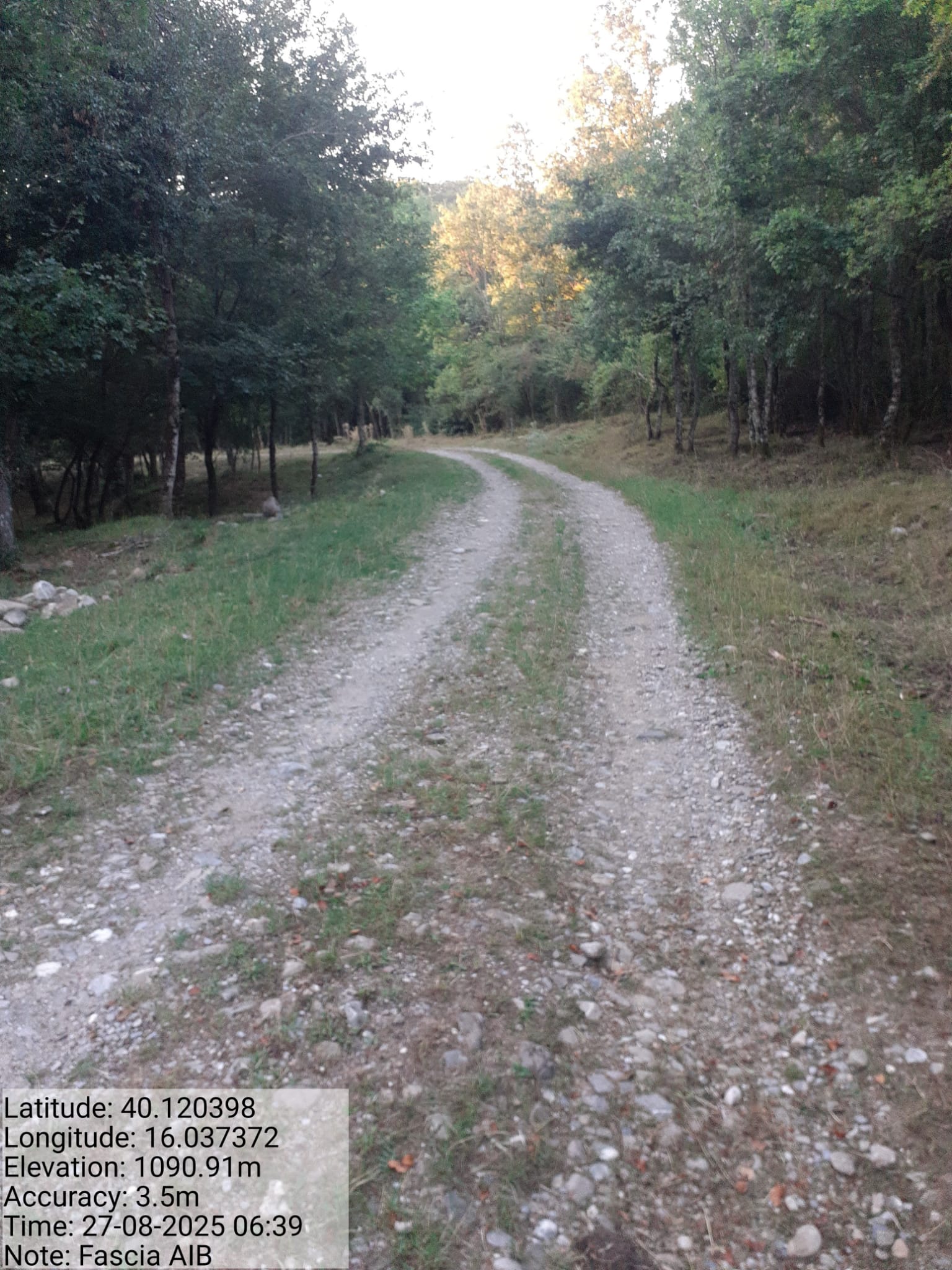 Galleria Fotografica Immagine